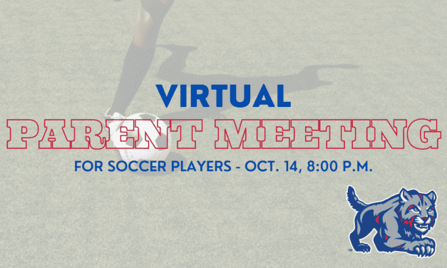 Virtual Parent Soccer Meeting